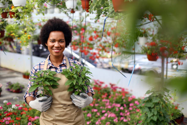 istock Smiling woman working in a greenhouse 1255391652