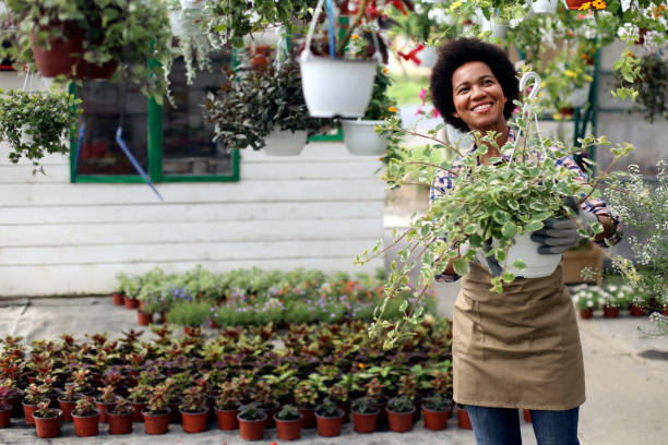 istock African woman working in a plant nursery 1255391688