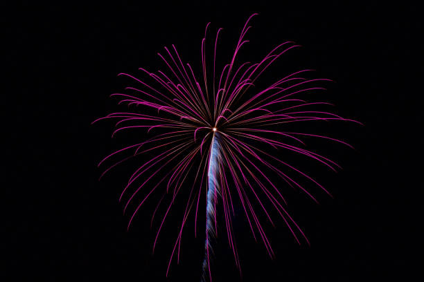Fireworks on a black sky stock photo