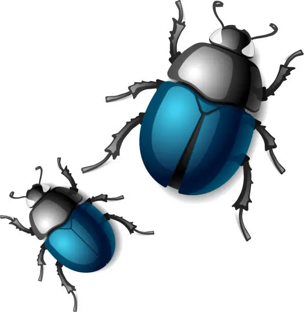 Vector illustration of Beetle