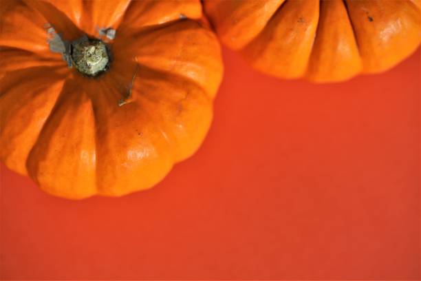 Orange pumpkin on red background