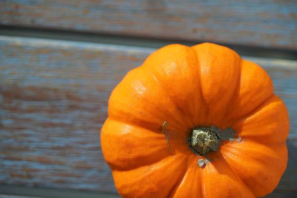 istock Orange pumpkin on wooden background 1255395251