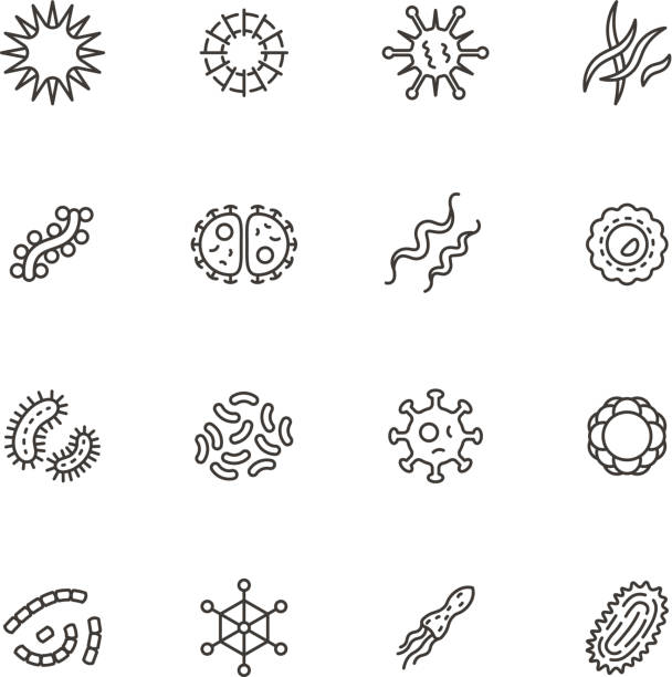 Illness bacilli, microbes, viruses and microorganisms line icons. Bacteriology hygiene and infection outline vector isolated symbols Illness bacilli, microbes, viruses and microorganisms line icons. Bacteriology hygiene and infection outline vector isolated symbols. Illustration of microbe and virus, microorganism bacteria protozoan stock illustrations