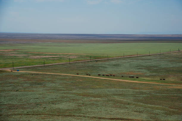 istock Summer landscape of the steppe Crimea 1255395794