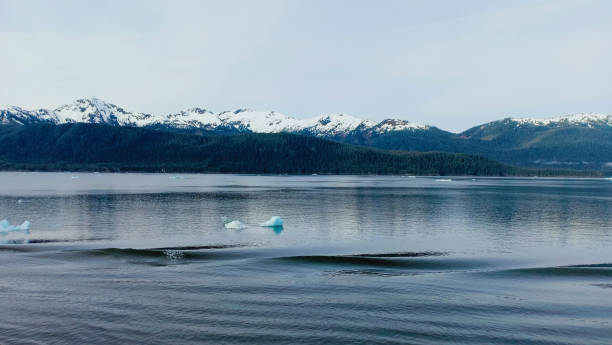 istock snow covered mountain and ocean 1255396508