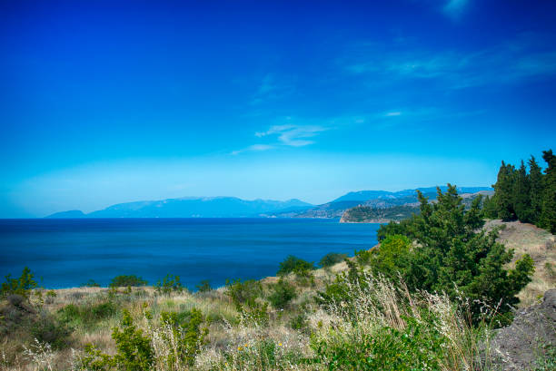 istock Summer landscape of the Crimea 1255396940