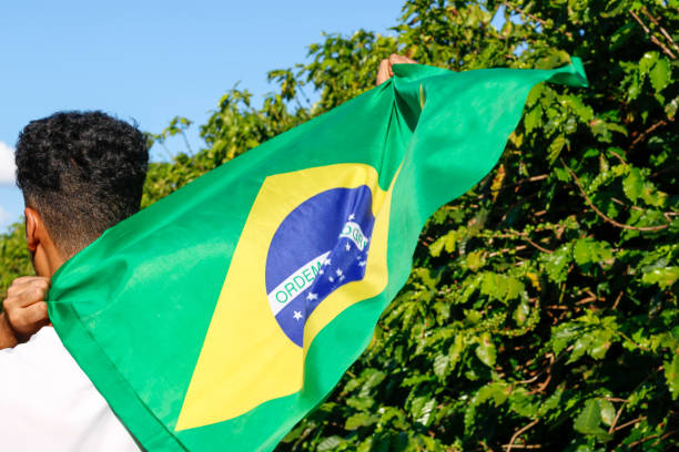 istock Holding the Brazilian flag in the wind 1255398621