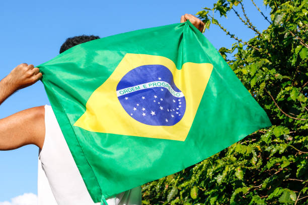 istock Holding the Brazilian flag in the wind 1255398629