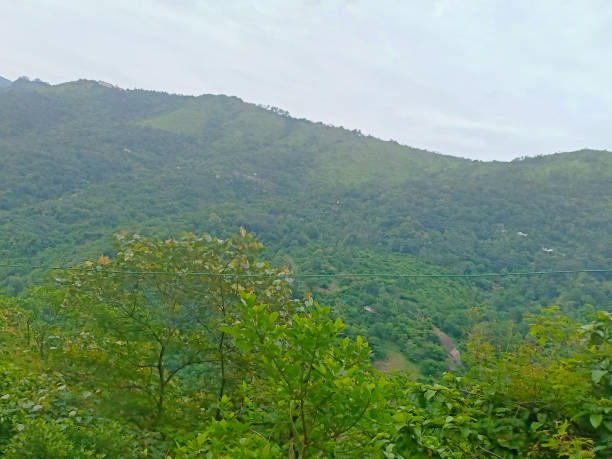 istock a high range mountain and trees a view from idukki india 1255401435