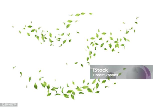 Fliegende Grüne Blätter Stock Vektor Art und mehr Bilder von Blatt - Pflanzenbestandteile - Blatt - Pflanzenbestandteile, Wind, Umweltschutz