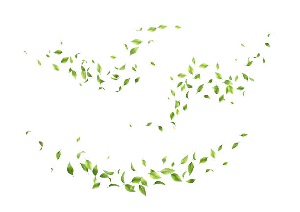 Flying green leaves Flying green leaves. Set of waves formed by green leaves wind stock illustrations