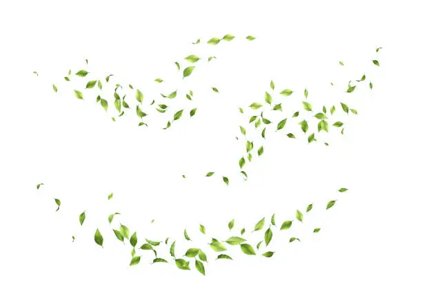 Vector illustration of Flying green leaves