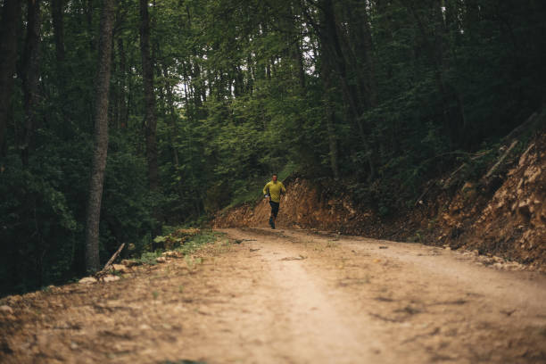 istock Morning jogging in a field 1255401988