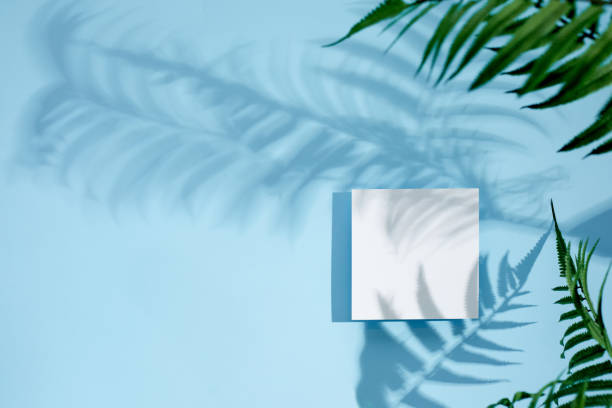 istock White empty blank card mockup with floral shadows 1255404472
