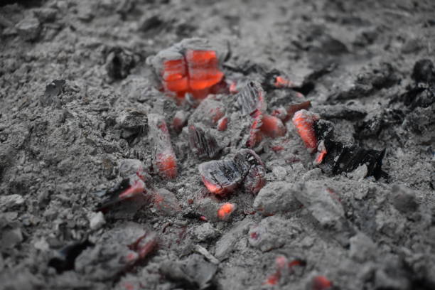 bela imagem de carvão queimado em casa nainital - smith rock - fotografias e filmes do acervo