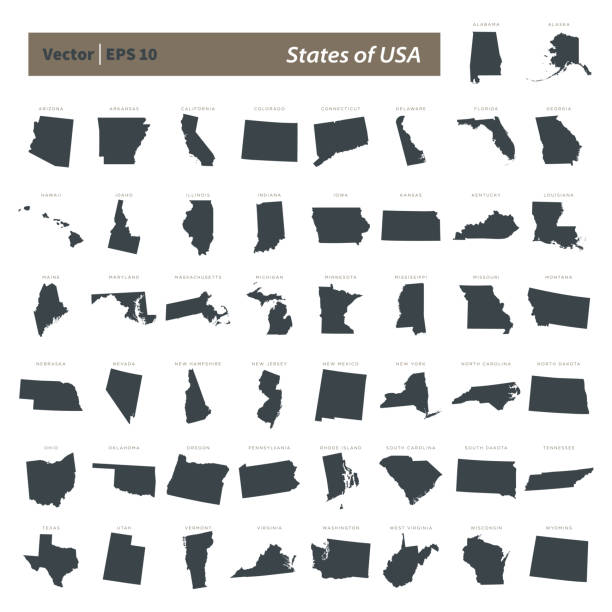 abd haritası nın durumları vektör şablonu çizim tasarımı nı belirler. vektör eps 10. - amerikanın eyalet sınırları illüstrasyonlar stock illustrations