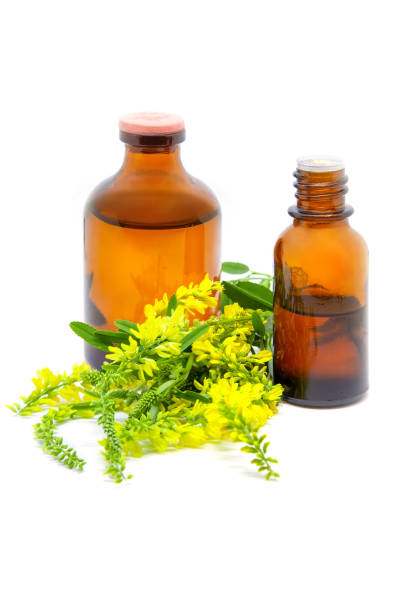 istock Melilotus officinalis flowers and pharmaceutical bottles on white 1255407685