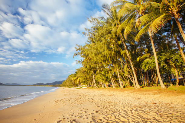 istock Palm Cove Beachfront Queensland Australia 1255407747