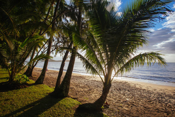 istock Palm Cove Beachfront Queensland Australia 1255407754