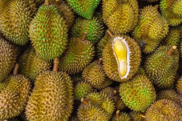 Photo of Group of fresh durians in the durian market.