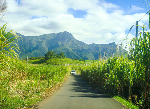 In August 2012, cars were taking the roads surrunded by sugar cane fieds in La Reunion Island.