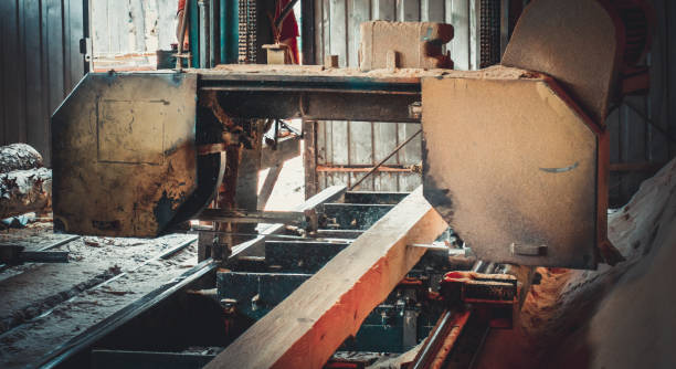 istock Sawmill. Process of machining logs in sawmill machine saws the tree trunk 1255411542