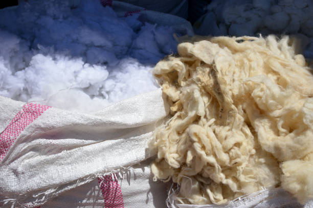 lã de ovelha orgânica na loja - lamb softness fur wool - fotografias e filmes do acervo
