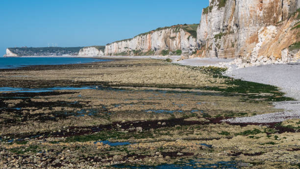 istock Yport Beach in Normandy, France 1255414366