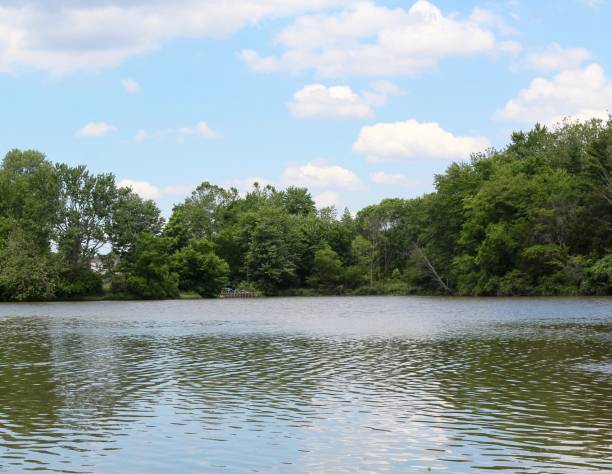 istock Calm Lake Water with White Clouds in Sky 1255415103