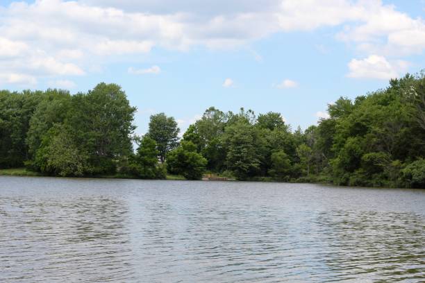 istock Peaceful Lake in Countryside Park 1255415105