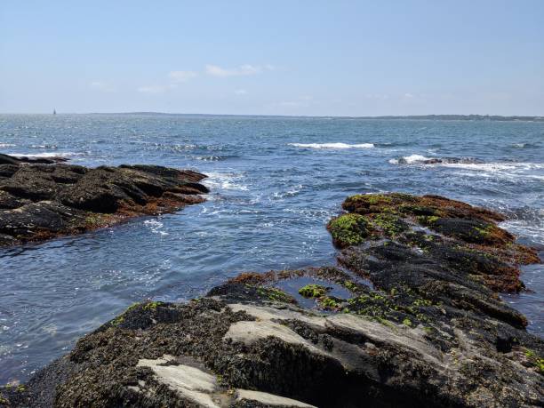 Rocky New England shoreline