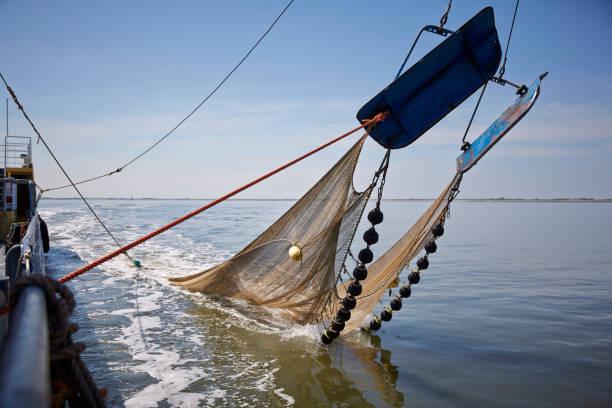 fishing nets to dry on the road by the sea
