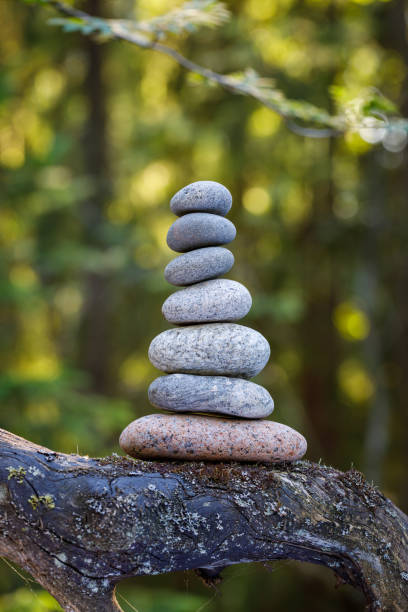 istock Pyramid stones balance on a tree trunk in the forest. 1255420675