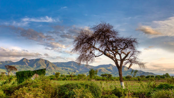 アルバ・ミンチ近くのエチオピアの風景 - africa rain east africa ethiopia ストックフォトと画像