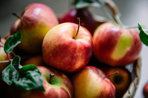 pommes rouges récoltées dans un panier - apple red fruit autumn photos et images de collection