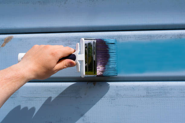 istock Painting the house blue 1255427410