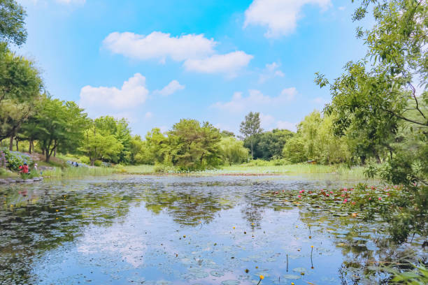 istock Beautiful park with a pond in great weather 1255431980