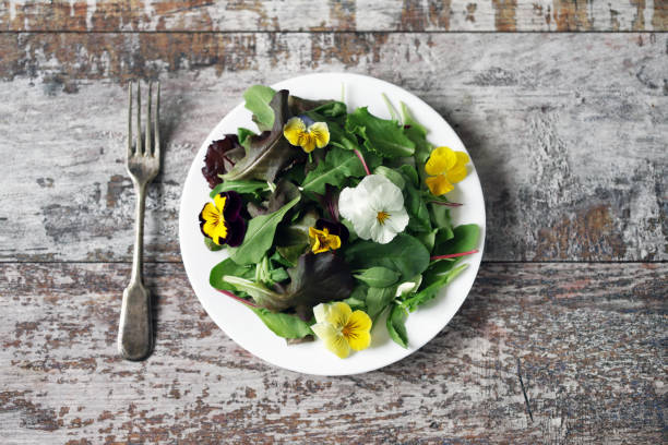 istock Salad with violets. Vegan Salad. 1255433432