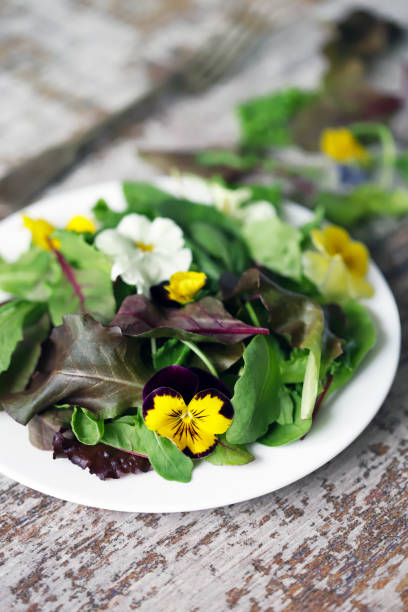 istock Salad with violets. Vegan Salad. 1255433434
