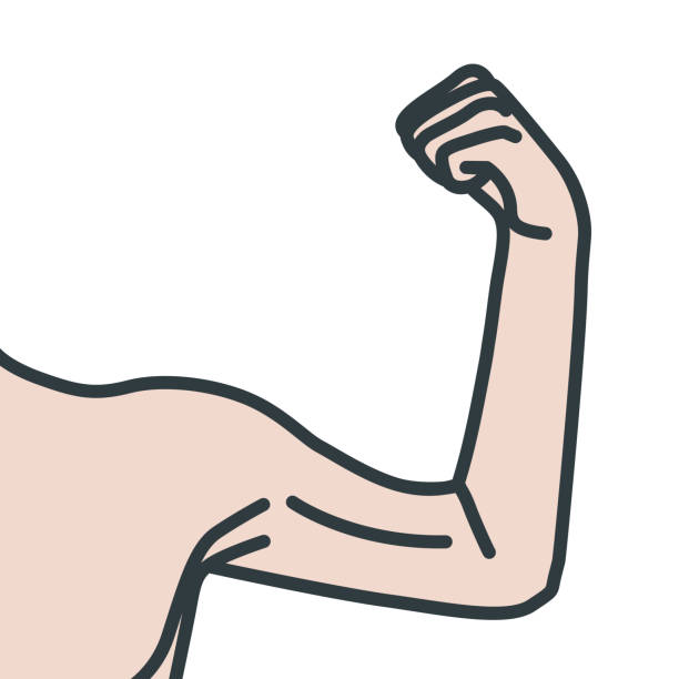 Weak Male Arms With Flexed Biceps Muscles Stock Illustration - Download  Image Now - Arm, Weakness, Anorexia Nervosa - iStock