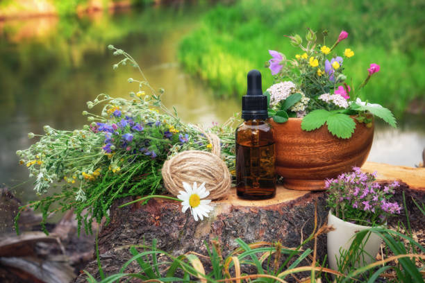Mortars of medicinal herbs, dropper bottle of essential oil, bunch of medicinal plants on a wooden stump on bank of beautiful forest river outdoors. Mortars of medicinal herbs, dropper bottle of essential oil, bunch of medicinal plants on a wooden stump on bank of beautiful forest river outdoors. heathy stock pictures, royalty-free photos & images