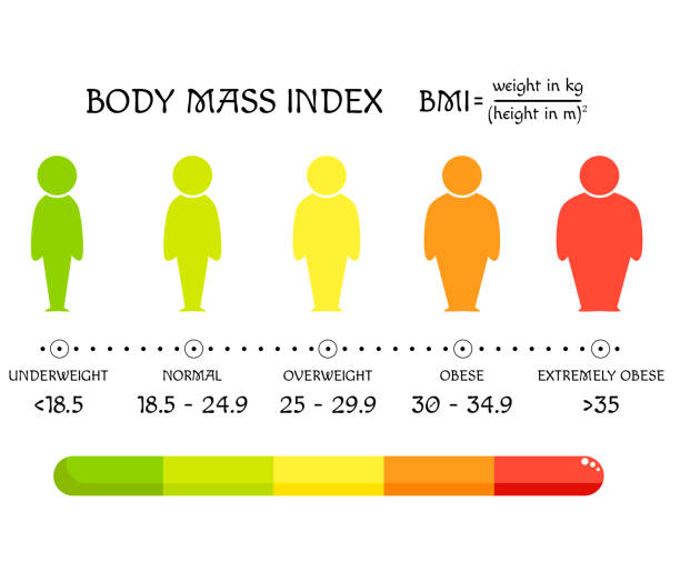 https://media.istockphoto.com/id/1255436764/vector/bmi-concept-body-shapes-from-underweight-to-extremely-obese.jpg?s=612x612&w=0&k=20&c=S0rjIJBI_Eo7Z_UuBBB6tP3FNSr5WErMAO0V9MI4RG8=