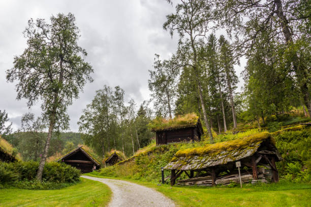 istock old village in Norway 1255440577