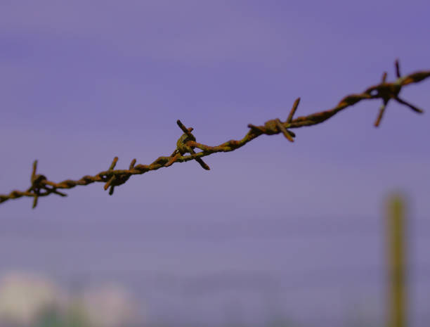 istock Rusty barbed wire against purple evening sky 1255442609
