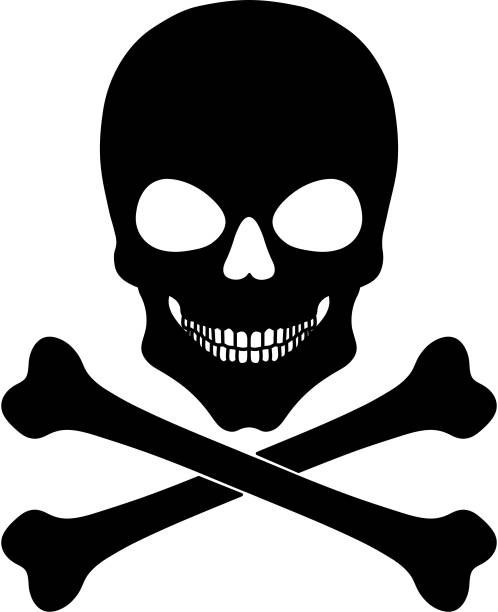 istock Skull human with crossbones, sign of danger to life, black silhouette. Vector illustration. 1255442712