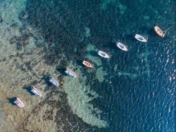 istock Ariel View of Small Sailboats 1255444205