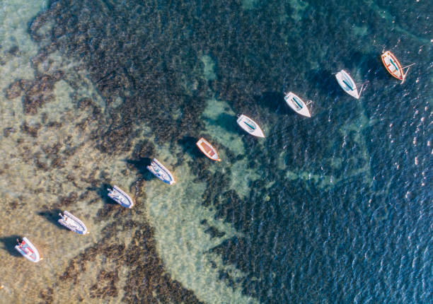 istock Ariel View of Small Sailboats 1255445312