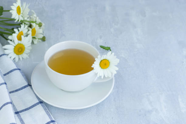 istock Herbal chamomile tea with fresh chamomile flowers in a white cup and saucer on a light background. Copy space. 1255448177