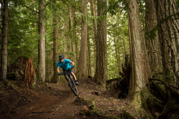 istock Crosscountry mountain biking in a lush forest 1255448454
