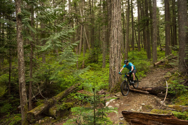 istock Crosscountry mountain biking in a lush forest 1255448588